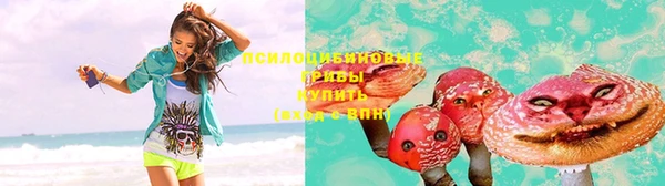 ешки Алзамай