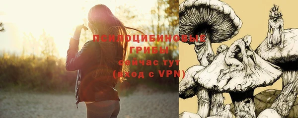 ешки Алзамай