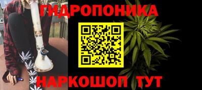 PSILOCYBIN Кимры