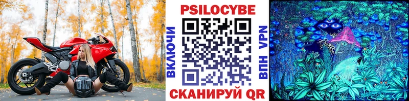 Галлюциногенные грибы мицелий  Лесной 