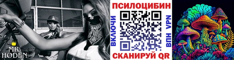 Галлюциногенные грибы мицелий Лесной