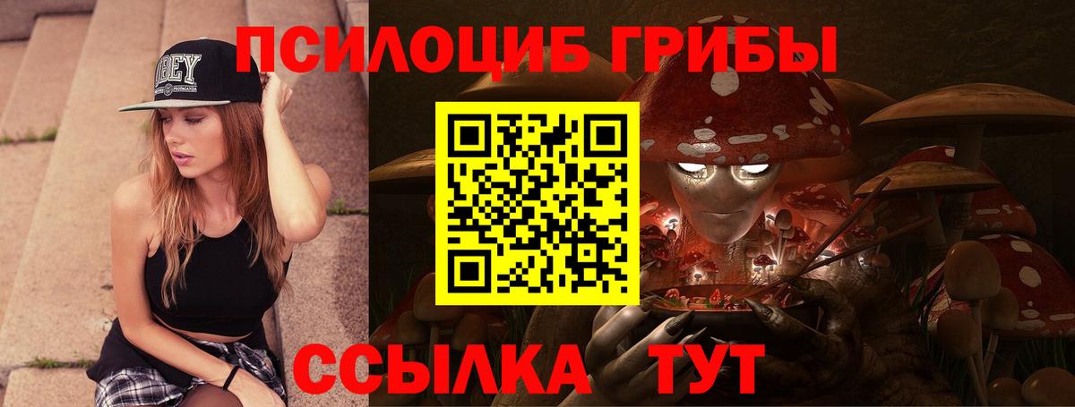 Лесной  Псилоцибиновые грибы GOLDEN TEACHER  Вход с VPN  Псилоцибиновые грибы мицелий 